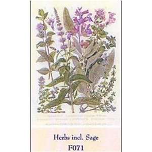  Herbs Incl Sage    Print