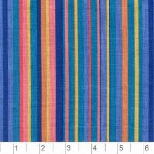  45 Wide Safari Park Stripes Blue/Orange Fabric By The 