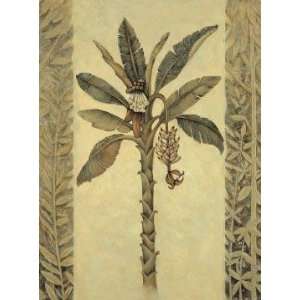  Banana Palm Tree by John Park. Size 13 inches width by 18 