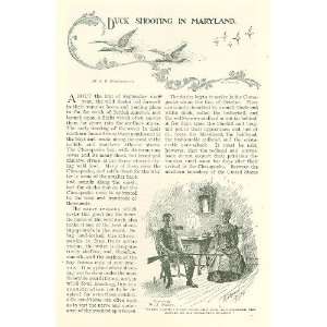 1894 Duck Shooting in Maryland Chesapeake Bay Everything 