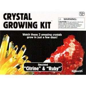  Toysmith Crystal Growing Kit   Citrine and Ruby Toys 