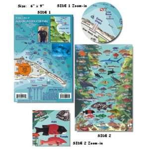  Franko Maps Avalon Fish Identification Card Sports 