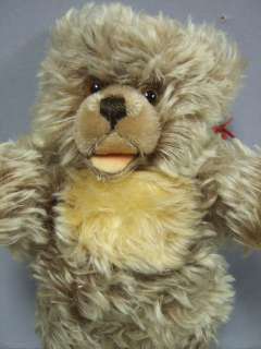Vintage Steiff Open Mouth Long Hair Squeaker Teddy Bear  
