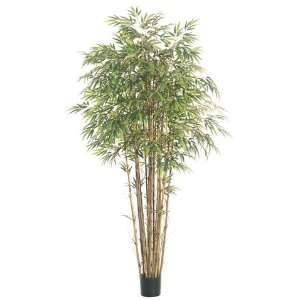   Pack of 2 Decorative Bamboo Trees with Round Pots 7