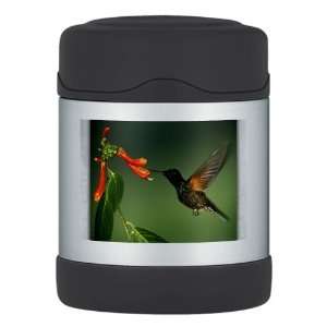    Thermos Food Jar Green Violetear Hummingbird 