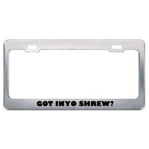 Got Inyo Shrew? Animals Pets Metal License Plate Frame Holder Border 
