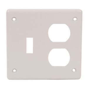  IPE Switch and Receptacle Double Cover
