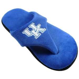  Kentucky Wildcats Comfy Flop