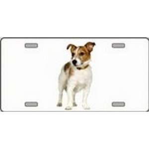  Jack Russell Terrier Dog Pet Novelty License Plates Full 