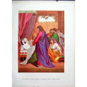  Christ Raising Jarius Daughter Pld Bible Print 1877