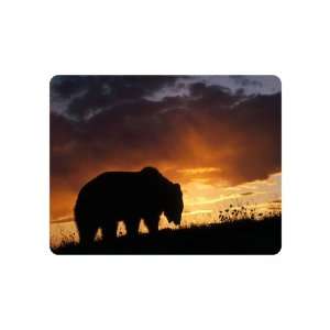  Brand New Bear Mouse Pad Sunset 