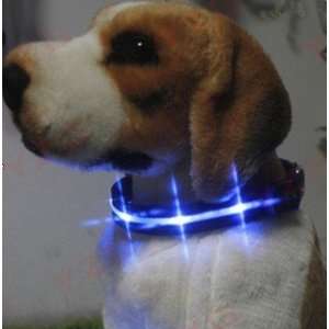  Dog Collar with LED Lights, Multi Function