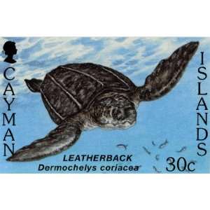  Cayman Island Leatherback Sea Turtle Stamp Print 