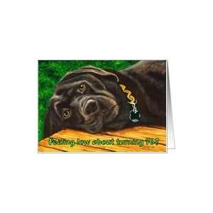  Funny Birthday ~ 76 Years Old ~ Labrador Dog Card Toys 