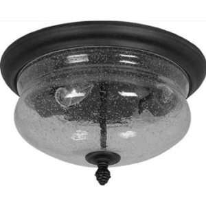  Premiere Collection Black Finish Ceiling Mount by Artcraft 