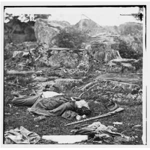  Reprint Gettysburg, Pa. Dead Confederate soldiers in the devils den