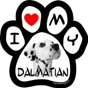   Inch by 5 1/2 Inch Car Magnet Picture Paw, Dalmatian