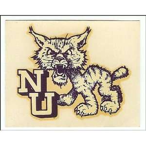  Vintage NU University Decal 1950 