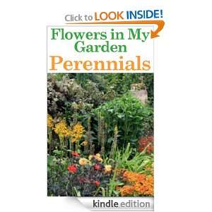 Flowers in my garden   perennials (Gardening Tips   Flowers in My 