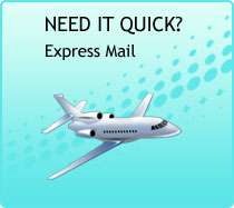 Need it Quick? Express Mail