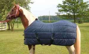 Horse Winter Stable Blankets 72   82 / With Belly Wrap.  