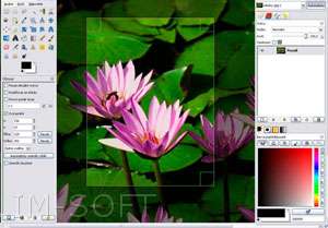 PRO PHOTOGRAPHY IMAGE PHOTO EDITING PICTURE EDITOR CD  