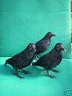 CROWS BIRDS Furry Animals Decorations Stage Props, Dorm Tree 