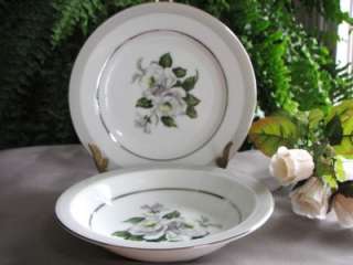   is for Fine China Dinnerware ~ Platinum White Rose ~ Pattern #3939