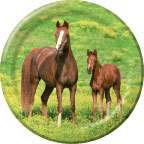 Horse / Horses Party DINNER / LUNCH PAPER PLATES   NEW  