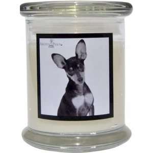   Aroma Paws 359 Breed Candle 12 Oz. Jar   Miniature Pinscher Home