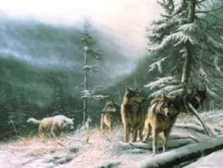 SEARCH FOR SURVIVAL Wolves Kevin Daniel Framed Picture  