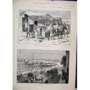   1882 War Egypt Wounded Horses Bengal Cavalry Zagazig