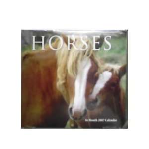 HORSES 16 Month 2007 Calendar