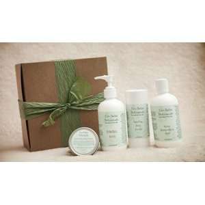   Baby Botanicals Gift Set by Vintage Body Spa Made in America Beauty