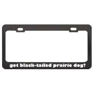 Got Black Tailed Prairie Dog? Animals Pets Black Metal License Plate 