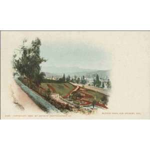 Reprint Los Angeles CA   Elysian Park 1890 1899 