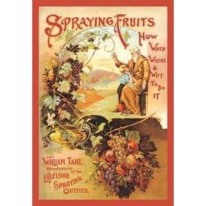   stock. Spraying Fruits How, When, Where and Why to Do It Home