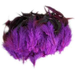  50pcs Home Decor Chicken Feathers Purple