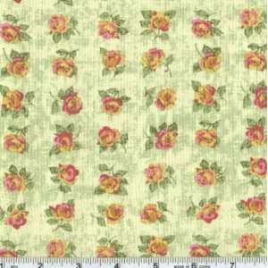  45 Wide Westminster Lily Rose   Rows Of Roses Kiwi 