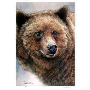  Grizzly Bear by Robert Pow, 14x20