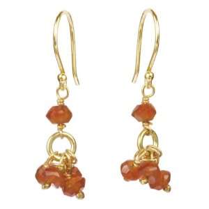   Sterling Silver Linked Chain and Carnelian Cluster Earring Jewelry