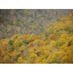  A Scenic View of the Autumn Foliage on North Aspy Mountain 