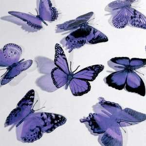  Butterfly 3D Translucent Decoration 12 LAVENDER 