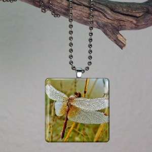 Dragonfly In Dew Glass Tile Necklace Pendant 554  