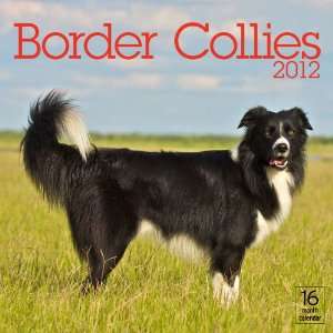  2012 Border Collies Wall calendar (9781592587148) Moseley 