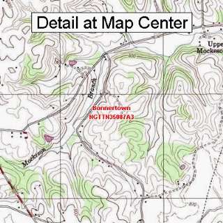  USGS Topographic Quadrangle Map   Bonnertown, Tennessee 