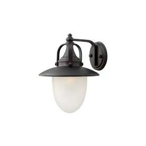   Smart 1 Light Outdoor Wall Light in Spanish Bronze with Etched Opal