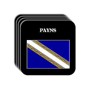  Champagne Ardenne   PAYNS Set of 4 Mini Mousepad 