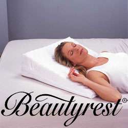 Beautyrest Personal Wedge Pillow  