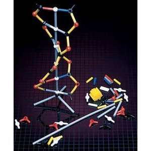 DNA Model   12 Packets